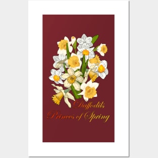 Daffodils-Princes of Spring-Spring Flowers Daffodils-Spring flower Posters and Art